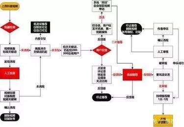 抖音新手養(yǎng)號指南及技巧！